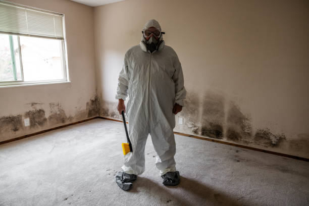 Best Attic Mold Removal  in Staten Island, NY